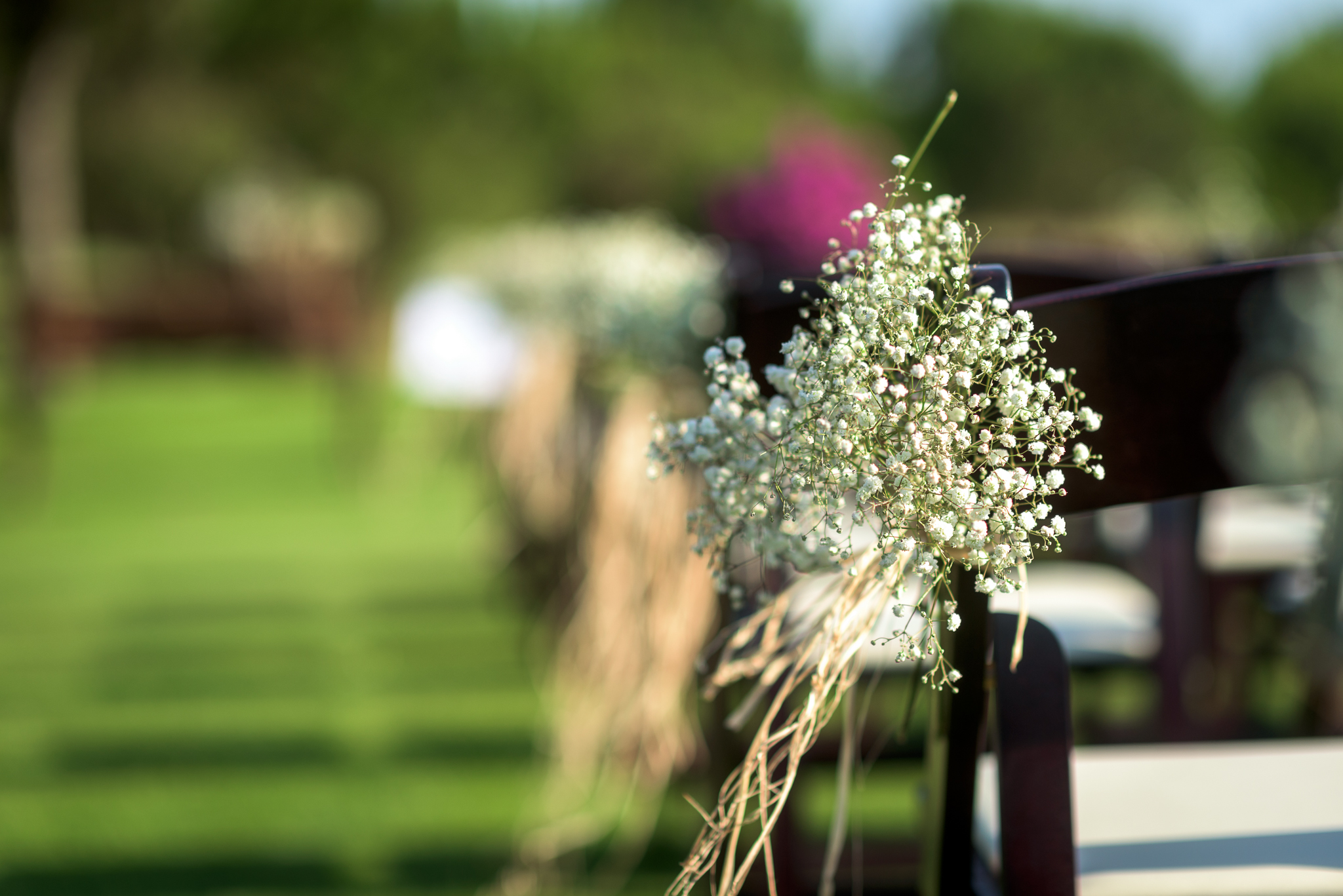 De lo clásico a lo vanguardista